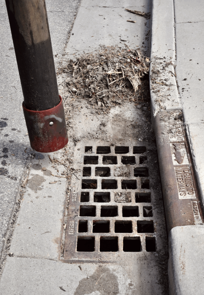 Screenshot 2025-04-17 at 12.04.32 PM